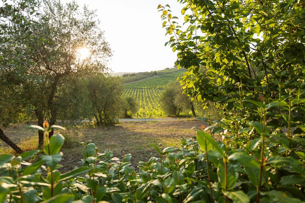Tenuta Di Monaciano Ponte A Bozzone Экстерьер фото