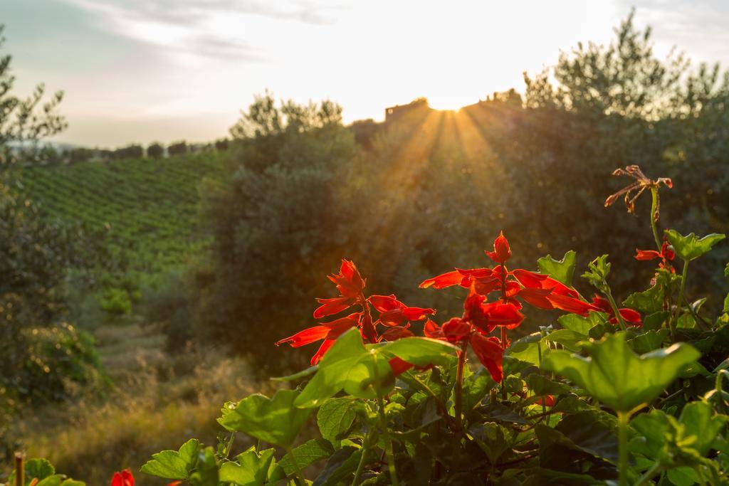 Tenuta Di Monaciano Ponte A Bozzone Экстерьер фото